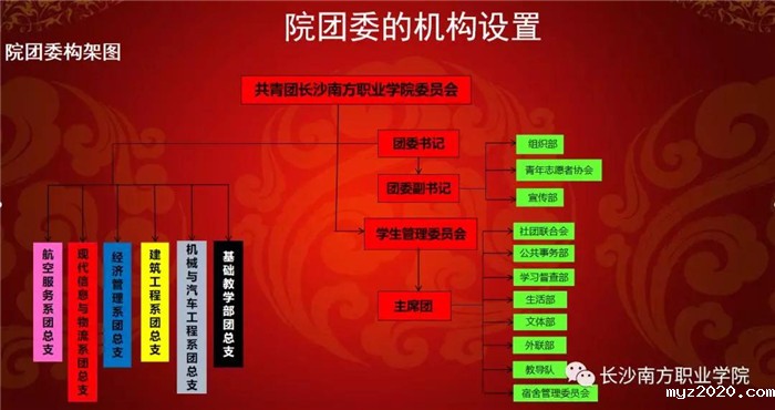 1553152240635999.jpg 团委11.jpg